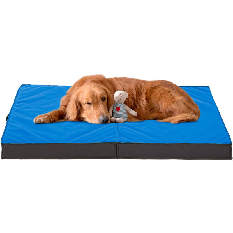 Tucker Murphy Pet Foldable Durable Cooling Dog Bed Orthopedic for Outside Indoor Wayfair Dog Beds Mats